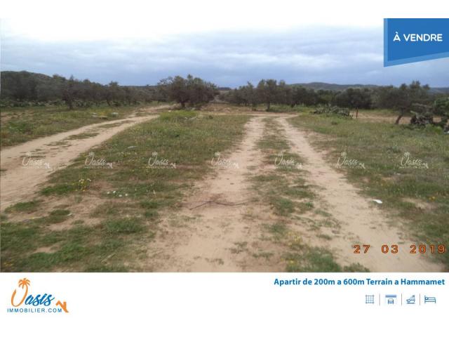 Photo Terrain beni ouail 2 image 4/5