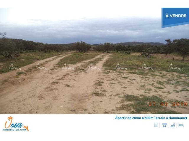Photo Terrain beni ouail image 4/5