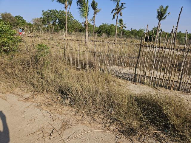 Photo Terrain constructible à Morondava (Madagascar) image 4/5