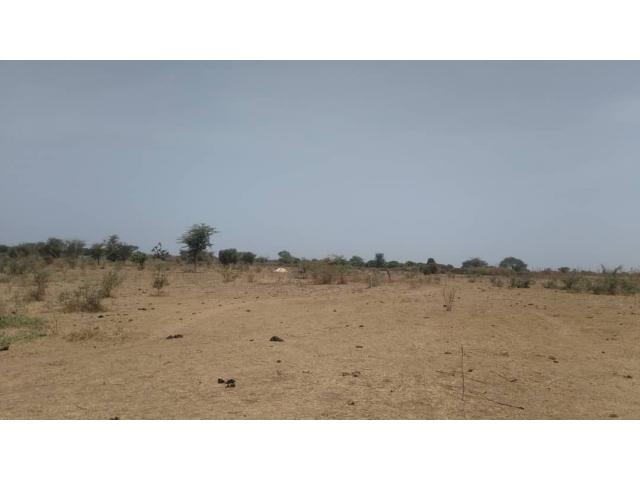 Photo Terrain de 1 hectare à Nguérigne image 4/6