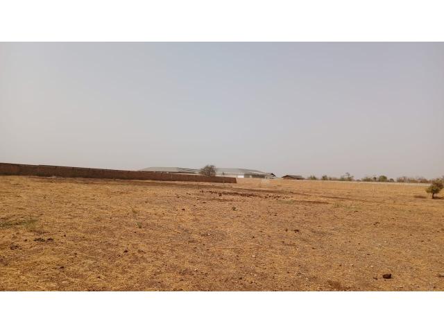 Photo Terrain de 10000 mètres carrés à vendre à Ngaparou Sénégal image 4/4