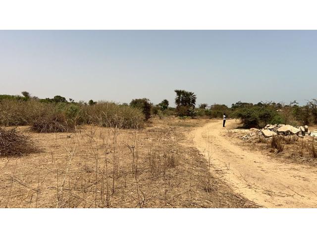 Photo Terrain de 1200 mètres carrés à vendre à Saly Sénégal image 4/4