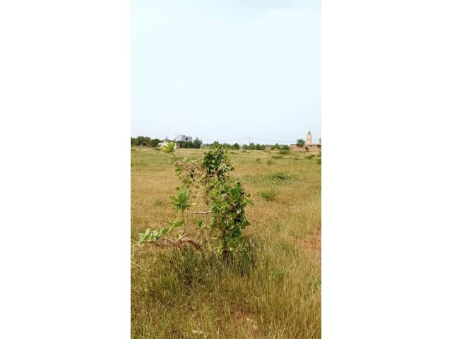 Photo terrain de 150 metres carres a dakar image 4/4