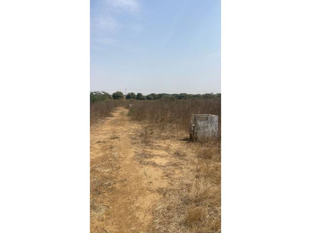 Photo Terrain de 200 mètres carrés à vendre à Ndayane Sénégal image 4/4
