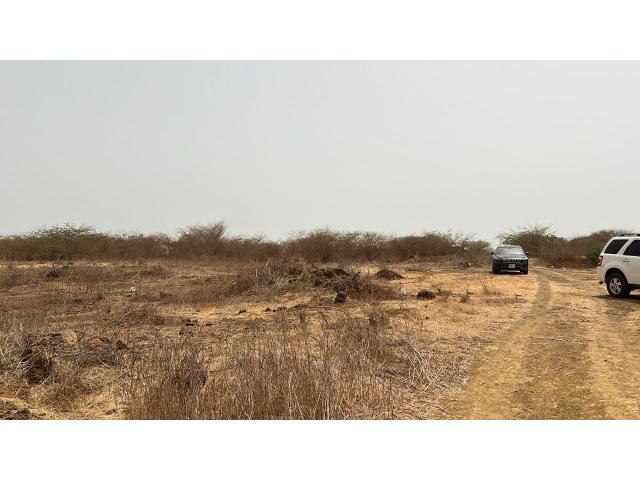 Photo Terrain de 200 mètres carrés à vendre à Ndayane Sénégal image 4/4