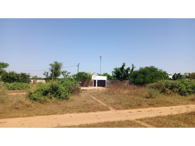 Photo Terrain de 225 mètres carrés à vendre à Saly Sénégal image 4/4