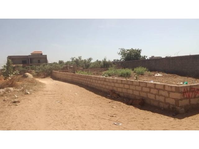 Photo Terrain de 260 mètres carrés à vendre à Saly Sénégal image 4/4