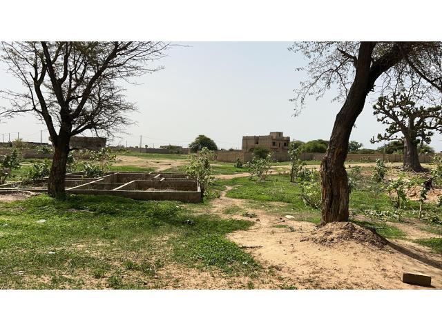 Photo Terrain de 275 mètres carrés à vendre à Saly Sénégal image 4/4