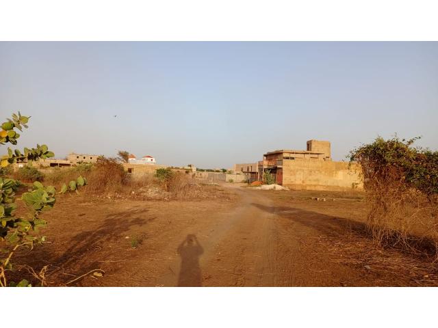 Photo Terrain de 290 mètres carrés à vendre à Gandigal Sénégal image 4/4