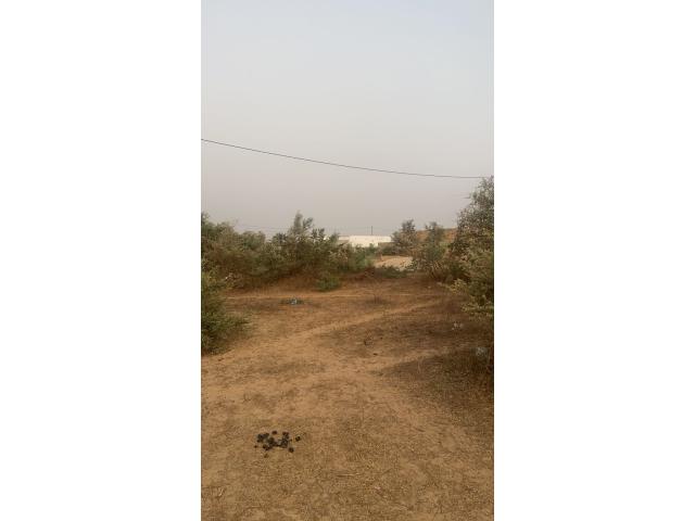 Photo terrain de 300 metres carres a malicounda image 4/4