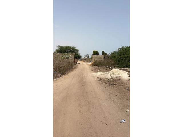 Photo terrain de 300 metres carres a nguekhokh image 4/4