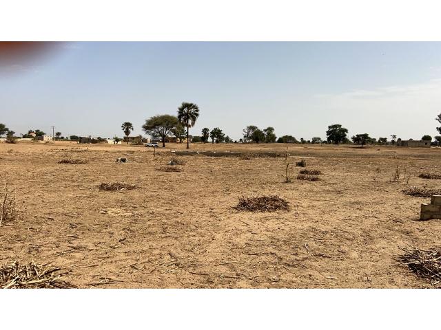 Photo Terrain de 300 mètres carrés à vendre à Louly Sénégal image 4/4
