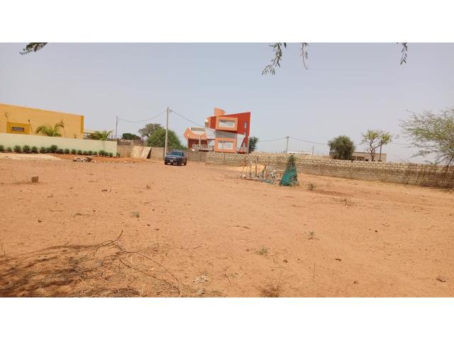 Photo Terrain de 300 mètres carrés à vendre à Nguérigne Sénégal image 4/4