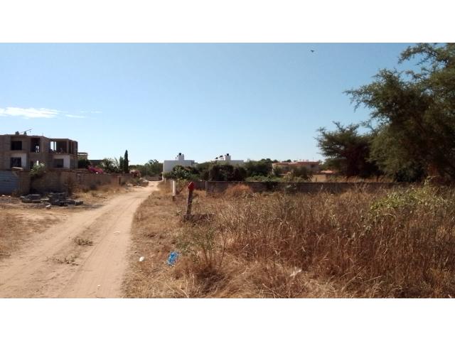 Photo Terrain de 300 mètres carrés à vendre à Saly Sénégal image 4/4