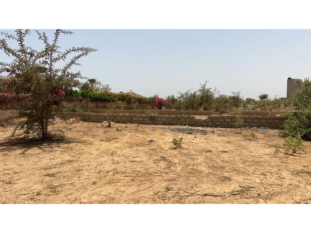 Photo Terrain de 300 mètres carrés à vendre à Saly Sénégal image 4/4
