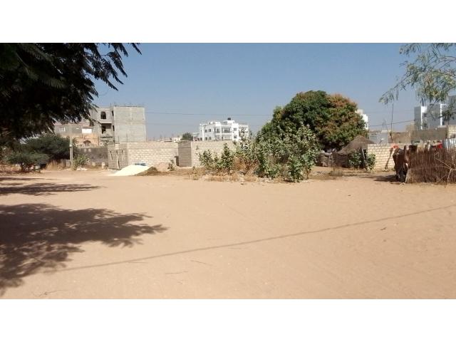 Photo Terrain de 300 mètres carrés à vendre à Saly Sénégal image 4/4