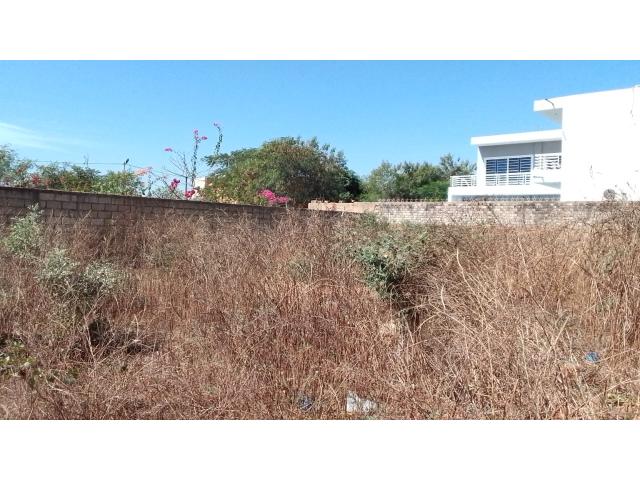 Photo Terrain de 300 mètres carrés à vendre à Somone Sénégal image 4/6