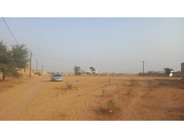 Photo Terrain de 300 mètres carrés délibération à Ndiourokh image 4/6