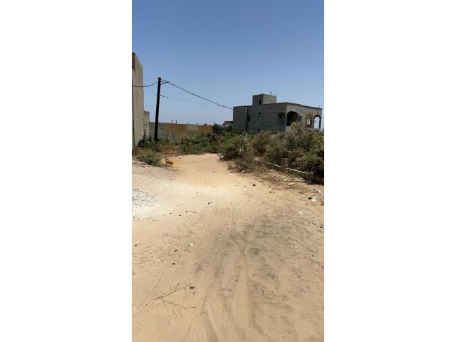 Photo Terrain de 350 mètres carrés à vendre à Saly Sénégal image 4/4