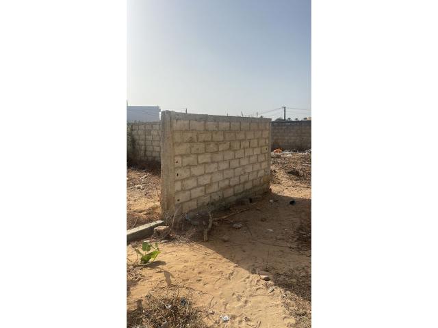 Photo terrain de 400 metres carres a saly image 4/5