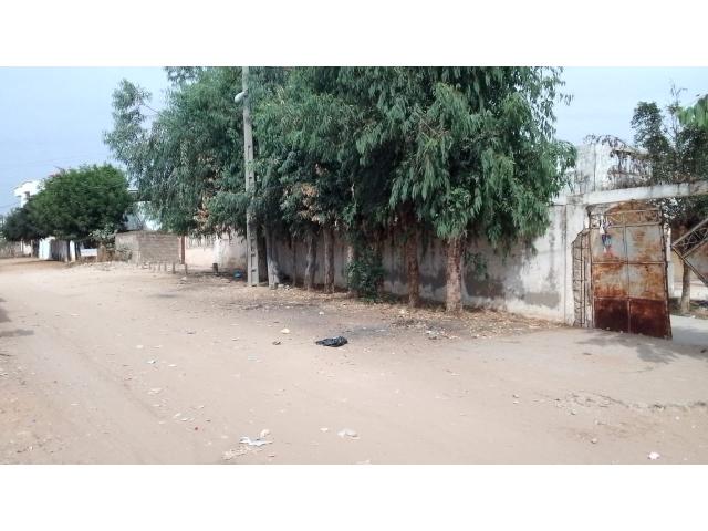 Photo Terrain de 500 mètres carrés à vendre à Saly Sénégal image 4/4