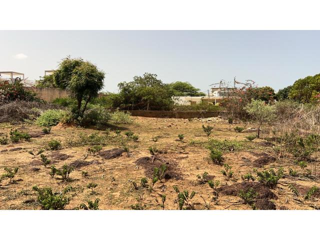 Photo Terrain de 543 mètres carrés à vendre à Somone Sénégal image 4/4