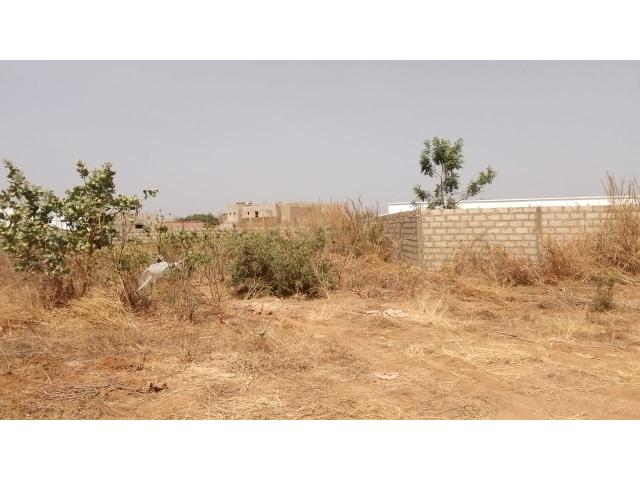 Photo Terrain de 559 mètres carrés à vendre à Nguérigne Sénégal image 4/4