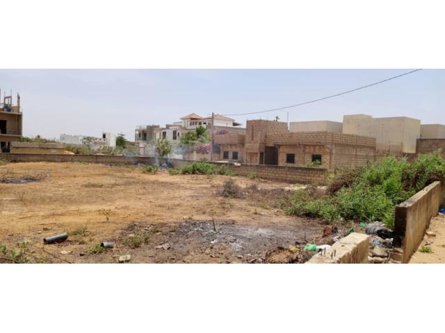 Photo terrain de 600 metres carres a saly image 4/4