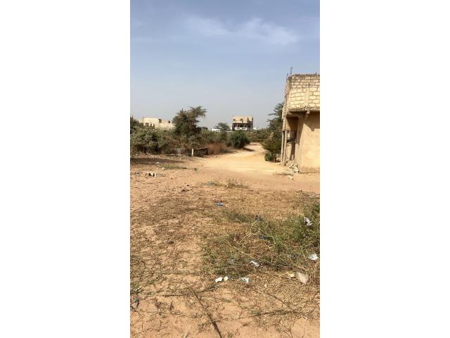 Photo Terrain de 600 mètres carrés à vendre à Saly Sénégal image 4/4