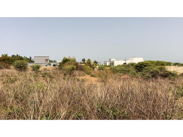 Photo Terrain de 600 mètres carrés à vendre à Somone Sénégal image 4/4