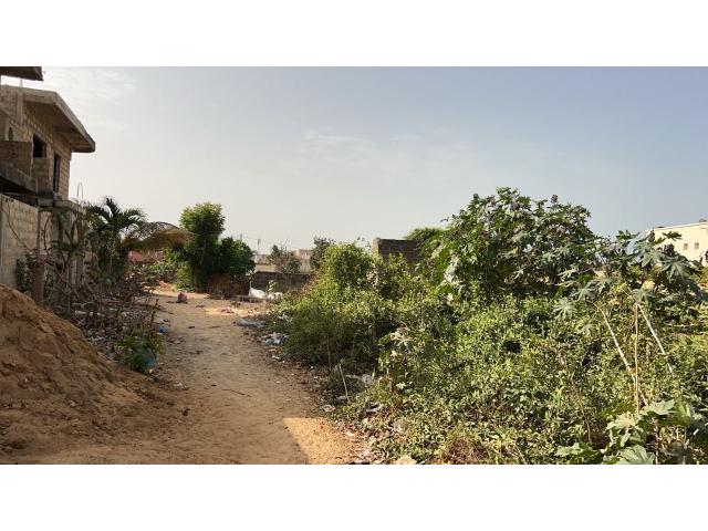 Photo Terrain de 700 mètres carrés à vendre à Saly Sénégal image 4/4