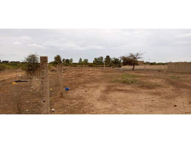 Photo Terrain de 800 mètres carrés délibération à Saly image 4/5