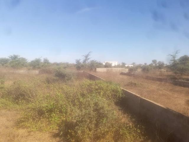 Photo terrain de 900 metres carres a mbour, gandigal image 4/5
