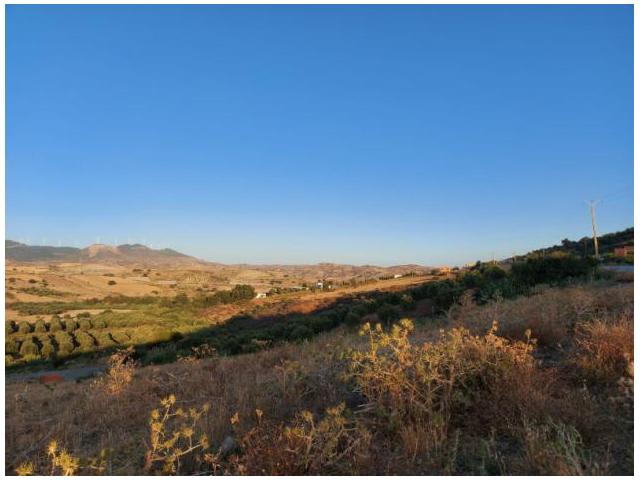 Photo Terrain  En Vente à Melloussa avec Bon Prix image 4/5