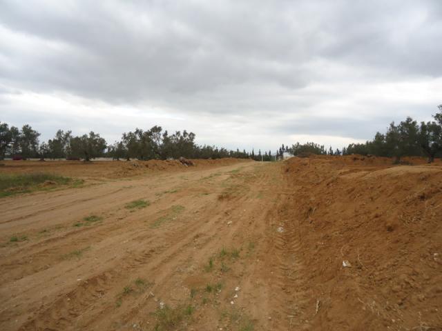 Photo Terrain Ociana image 4/4