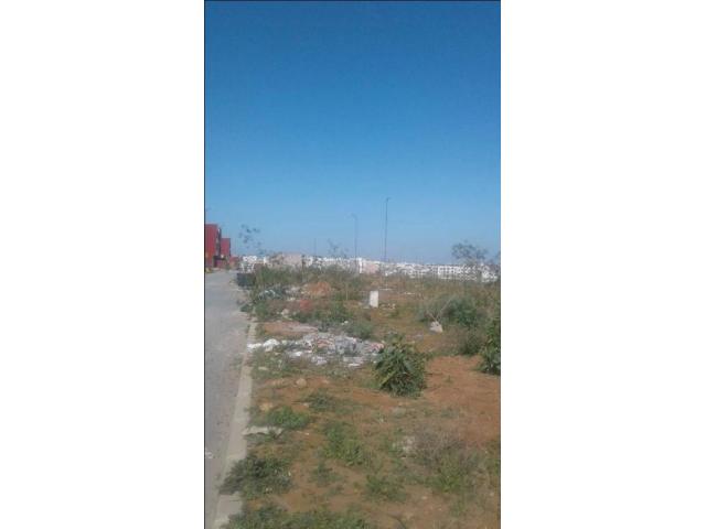 Photo terrain R plus 4 260 m2 A  Kenitra image 4/4