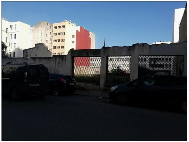Photo Terrain R7 de 800m2 à Mohamed 5 image 4/4