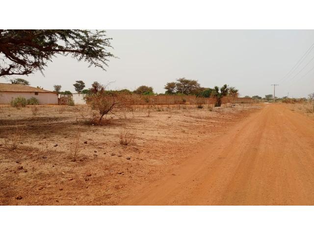 Photo Terrains 225 mètres carrés à vendre à Malicounda Sénégal image 4/4