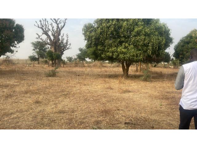 Photo Terrains 300 mètres carrés à vendre à Malicounda Sénégal image 4/4
