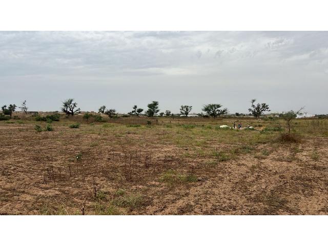 Photo Terrains 300 mètres carrés à vendre à Malicounda Sénégal image 4/5