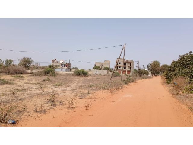 Photo Terrains de 200 mètres carrés à vendre à Bambilor Sénégal image 4/4