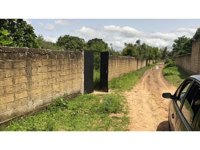 Photo Terrains de 225 mètres carrés à vendre à Gandigal Sénégal image 4/4