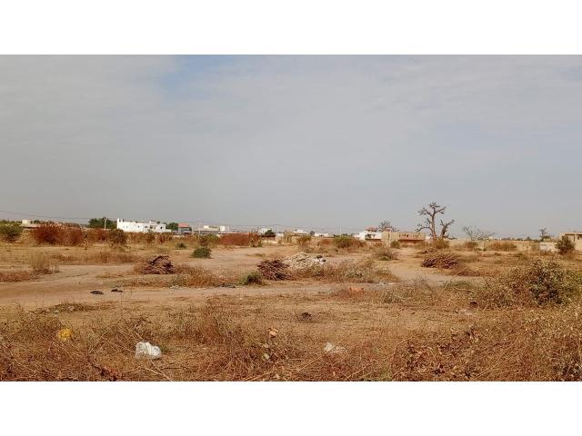 Photo Terrains de 225 mètres carrés à vendre à Saly Sénégal image 4/4
