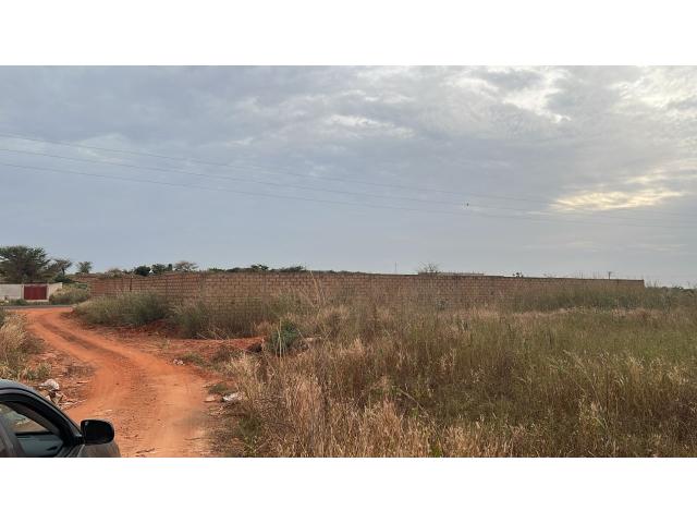 Photo Terrains de 300 mètres carrés à vendre à Guéréo Sénégal image 4/4