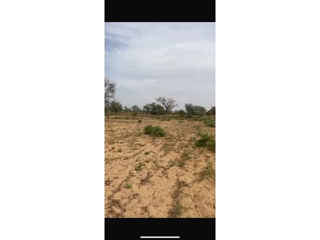 Photo Terrains de 300 mètres carrés à vendre à Malicounda Sénégal image 4/4