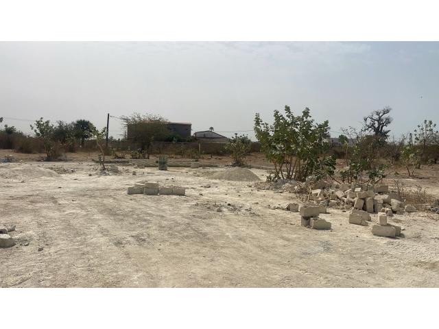 Photo Terrains de 300 mètres carrés à vendre à Mbodiène Sénégal image 4/4