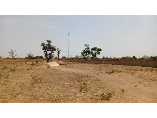 Photo Terrains de 300 mètres carrés à vendre à Sandiara Sénégal image 4/4