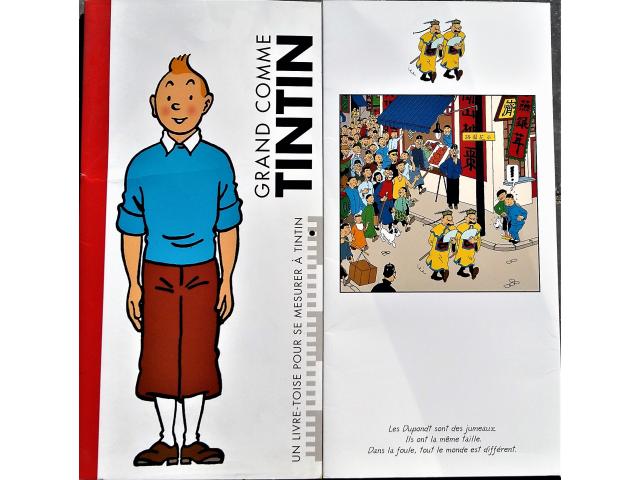 Photo Tintin ✅ Toise pour mesurer la croissance de son enfant  1999 image 4/6
