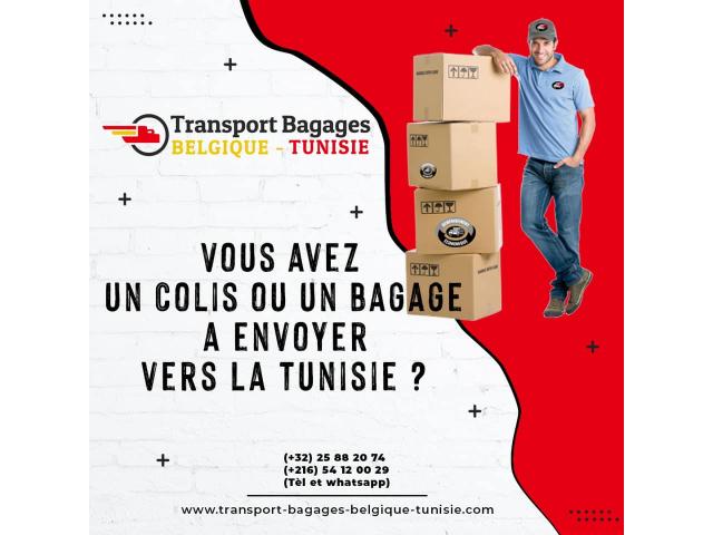 Photo Transport bagages Belgique Tunisie image 4/4