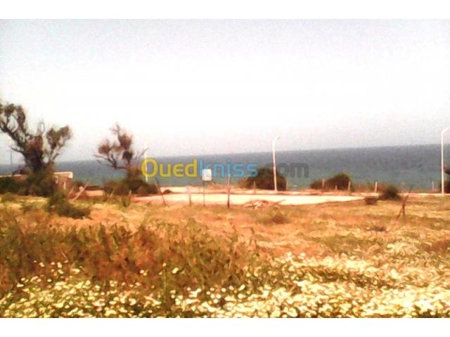 Photo Vend un très beaux terrain de 3333m²  sur la cote mer de l'Algérie lieu dit Boumerdes (plage sghiret image 4/6